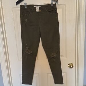 American Rag Olive Green Jeans with Brass Button
